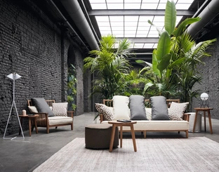 Gray armchair in walnut by Gervasoni.