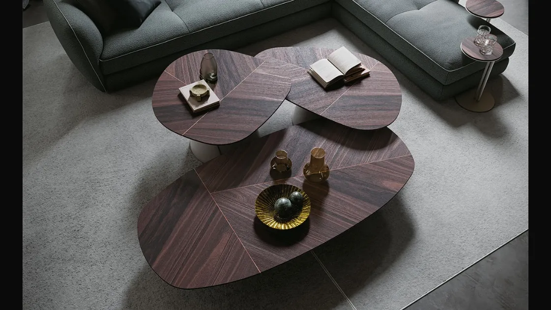 Adrian Wood coffee table by Cattelan Italia.