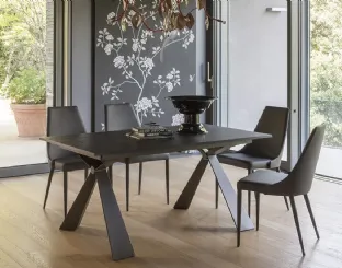 Extendable Delta table with black Oak laminate top and Altacom metal structure.